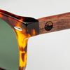 Timberline Sunglasses