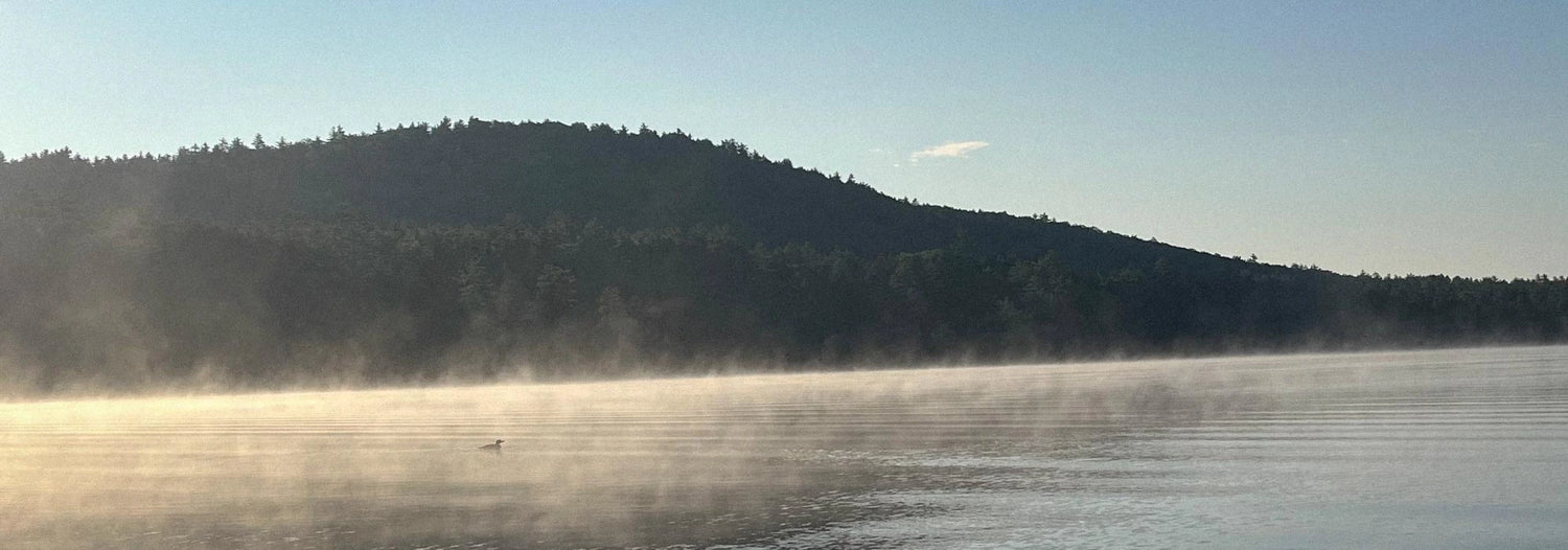 Misty morning over Bickford Pond in Porter, Maine, with a loon swimming in the foreground and forested hills in the background.