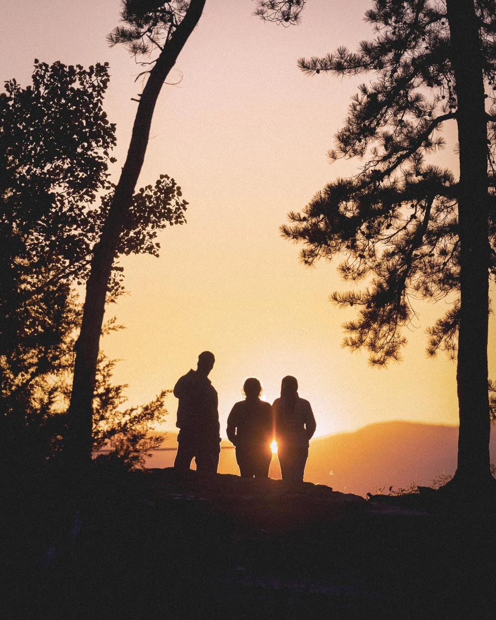 Three silhouettes of Bickford USA’s founder Luke, Vanessa and her mom standing on a Vermont overlook at sunset, framed by pine trees.