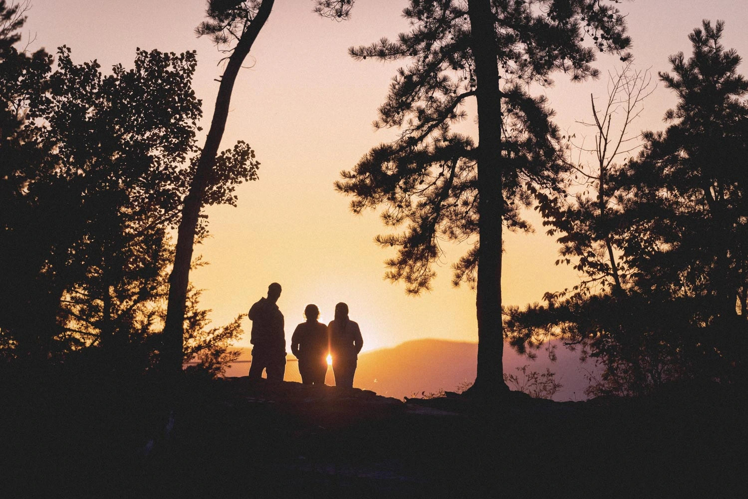Three silhouettes of Bickford USA’s founder Luke, Vanessa and her mom standing on a Vermont overlook at sunset, framed by pine trees.